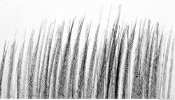 Photo Textures of Brush Strokes